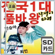 망부석 뱃노래 한강수타령 진또배기 동타령 장타령 음반 SD카드 전국1대 각설이타령 품바왕 민승아 최민