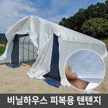 비닐하우스 텐텐지 하우스자재 피복 자재, 텐텐지 180g 4m x 10m, 1개