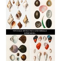(영문도서) Food Value of Edible Molluscs of Eastern Nepal Paperback, LAP Lambert Academic Publis..., English, 9783659215841