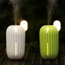 선인장가습기 1인용 저소음 USB 책상 미니 휴대용 가습기, 그린