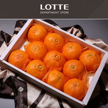 (롯데백화점)(롯데백화점)제주 레드향 선물세트 2.5kg 소과 17-20과내외