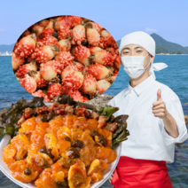 통영 멍게 활멍게 생물 꽃멍게 돌멍게 손질 깐멍게 무침 젓갈 냉동 국내산 멍개 양식 자연산 해삼 1kg 2kg, [4번] 급냉 깐멍게(400g) 5개, 5개