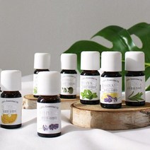 THS 더허브샵 바이향 에센셜오일 10ml 11종택1, 상큼한레몬