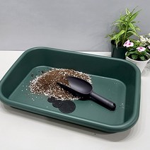 원예용 플라스틱 화분 분갈이매트 저면관수상자 가든 트레이 마이플랜트, 모스그린