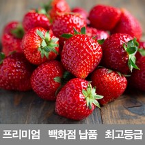 영화농산 영화청과 국내산 딸기 1k500g 프리미엄 백화점 납품 제철 청 농장 라떼 만년설 냉동 생 설향, 노란색, 상세페이지 별도표기