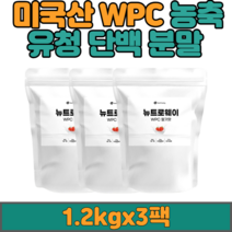 농축 유청 단백 분말 WPC 1.2kgx3팩 단백질보충제 프로틴 쉐이크 파우더 유청 단백질 필수아미노산 미국산 딸기맛 류신 헬스 운동후 단백질보충 추천
