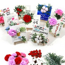카네이션 액자 만들기 비누꽃 어버이날 카네이션 만들기 이젤액자 카네이션액자diy 초등학교 중학교 만들기, (5)목화꽃세트