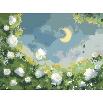 DIY 명화 유화 그리기세트 흰색 장미 색칠하기 캔버스에 달 풍경 diy 홈 장식 선물, 9931398, 50x65m DIY 프레임