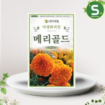 아프리칸메리골드 씨앗 100립 꽃씨앗 꽃씨 종자, 단품