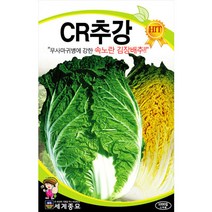 cr추강 배추 씨앗 배추씨 종자 김장 가을 채소 1000알