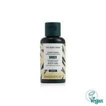 [더바디샵] 진저 스캘프 케어 컨디셔너 60ML 26256, 없음