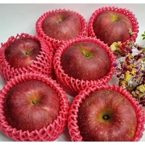 경북 청송사과 안동 부사 맛있는 꿀사과 정품 5KG, 정품 중대과