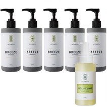 위드보스 브리즈 샴푸 청담 프라이빗 살롱 스타일링 샴푸 300ml+녹차보습팩1매, 샴푸5병+라임컨디셔너+사은품