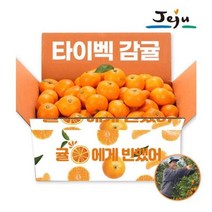 [gs특가]제주직송 올탑농원 타이벡 감귤 9kg 중대과(L-2L)