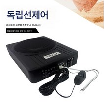 우퍼 블루투스 스피커 차량용 서브우퍼 10인치 중저음향 개조 슬림시트 아래 12v 능동 증폭출력, 서브우퍼 가선, 싱글 플레어