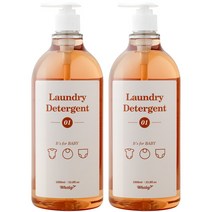 웨일리 고농축 유아 아기 세탁세제 1000ml (펌프포함), 2개