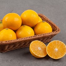추석과일 제주 하우스 감귤 황금향 선물세트 2kg 3kg 5kg 10kg 제주도 선물용 추석 명절 선물 세트, <b.1> 제주도 황금향 3kg (선물용)” class=”wr-img”></a></div>
</div>
</div>
</div>
<div class=