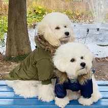 토끼독 라쿤 야상패딩 2컬러 S-2XL 명품강아지옷 강아지패딩 겨울옷, 카키