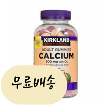 커클랜드 칼슘 500mg + 비타민 D3 120개입 [미국 직배송]