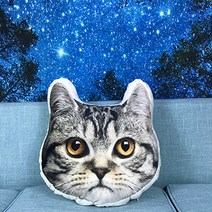 반려동물 고양이 강아지 포토쿠션 diy 주문제작 선물 사진쿠션 포토인형 양면인쇄, 단면