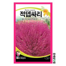 적뎁싸리 1g / 씨앗 종자 꽃씨 뎁싸리 뎁싸리씨앗