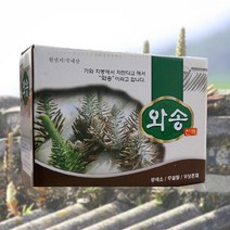 국내산 무농약 생 와송즙 (100mlx60포) 4무 햇와송진액 농장직배송, 100ml