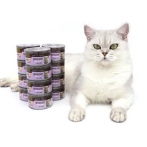 희동이네 고양이 간식 ANF 고양이캔 참치순살 95g 길냥이캔 통조림 주식사료캔, 20개