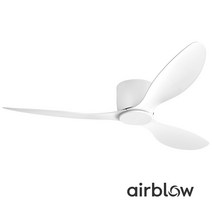 에어블로우 실링팬 C-2 DC모터 17cm 초슬림, 실버, 화이트