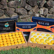 [귤담원]제주 추석 선물세트 천하일품 황금향 하우스감귤, 1박스, 02.황금향 선물세트 2.5kg 중대과(9-15과)