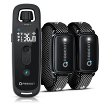 강아지훈련 애견훈련 짖음방지 행동제어 원격 방수 충전식, 2 receivers T30 B