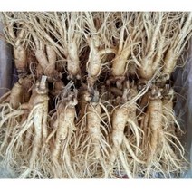 실속형 가정용 5년근 인삼 350g750g 1kg 12-15뿌리 (오쿠용 홍삼용 실속인삼), 가정용난발삼750g (9-10뿌리)
