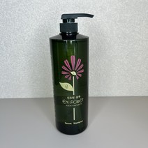 하이앙포레 시크릿 지성샴푸 학생샴푸 1000ml 지성잡이, 1개