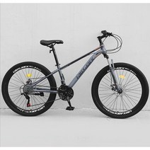 ( MTB 산악자전거 ) 입문용 27.5인치 크로스컨트리 자전거 21/24단, 21단, 스포크 휠 - 회색 (프론트샥)