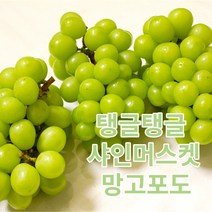 세상맛있는-샤인머스켓포도 특품 [안전포장] 거품뺀 가격, 샤인머스켓 꿀 포도2.0kg