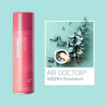 바이오미스트 에어닥터 천연 항(진)균제 곰팡이제거 실내 거실 화장실 자동 방향제 탈취제 스프레이 250ml, 1개, 유칼립투스향