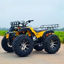 오토바이 사륜 4륜 125cc 버기카 소형 팜트럭 ATV 효도선물, 3. 패키지C(작은빅불)_완전조립