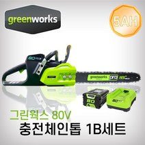 그린웍스 충전체인톱 80V 5Ah 배터리 1팩 세트, 1개