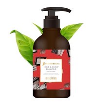 에바끌레르 몬테밀라노 탈모 샴푸, 1개, 500ml