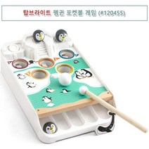 어린이포켓볼게임 미니당구대 당구배우기 당구아카데미 어린이당구 어린이장난감 미니포켓볼 당구교습