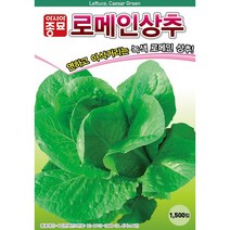 로메인상추 - 단맛나는 외국 상추 씨앗 종자 - 쌈채소 잎채소 - 1500립