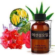 엔피솝 BEST 에센셜오일 모음 30ml(라벤더 레몬 티트리 로즈마리 일랑일랑 유칼립투스) 비누만들기 화장품만들기, 15.진저 E.O_30ml