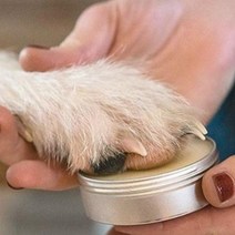 강아지 고양이 발바닥보습제 발바닥바세린 미끄럼방지밤 슬개골탈구 예방 아토피 습진 완화