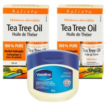Holista Canada 홀리스타 캐나다 티트리 오일>100% 원액>대용량 100ml -2병 묶음 – 2병, 2병” class=”wr-img”></a></div>
</div>
</div>
</div>
<div class=