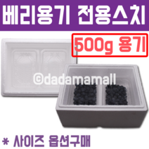 블루베리 500g용기전용 스치박스, 베리통형500g(2개입)+4000원/간지포함