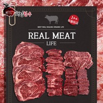 투뿔 한우 600g 투뿔 한우모듬 구이용 마장동 소고기 꽃등심 살치 안심 채끝 특수부위, 실속한판600g