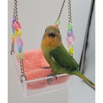 앵무새 그네.렉산 아크릴 그네침대 사각해먹그네침대