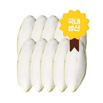 국내산 국내생산 갑오징어뼈및분말 천연칼슘제 강형욱 식분증 앵무새 거북이 달팽이 가재 이구아나 반려동물 천연지혈제 모든반려동물 무첨가 갑각류 설치류 조류 파충류, 260g(뼈)