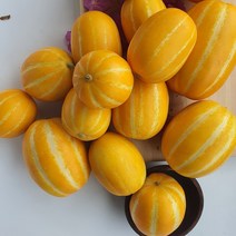 참외 진짜 단 성주참외 프리미엄 실속형 2.5kg 실중량, 1박스, 성주참외 프리미엄 실속형 랜덤 2.5kg