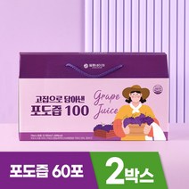 일등네이처 고집으로 담아낸 포도즙 포도주스, 60포
