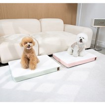 실리데일리 실리콘 마카롱 애견방석 사각쿠션, 민트